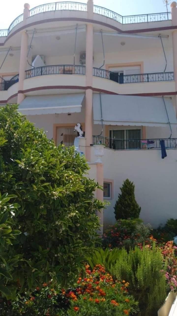 Apartments Rudi โอริคูม ภายนอก รูปภาพ