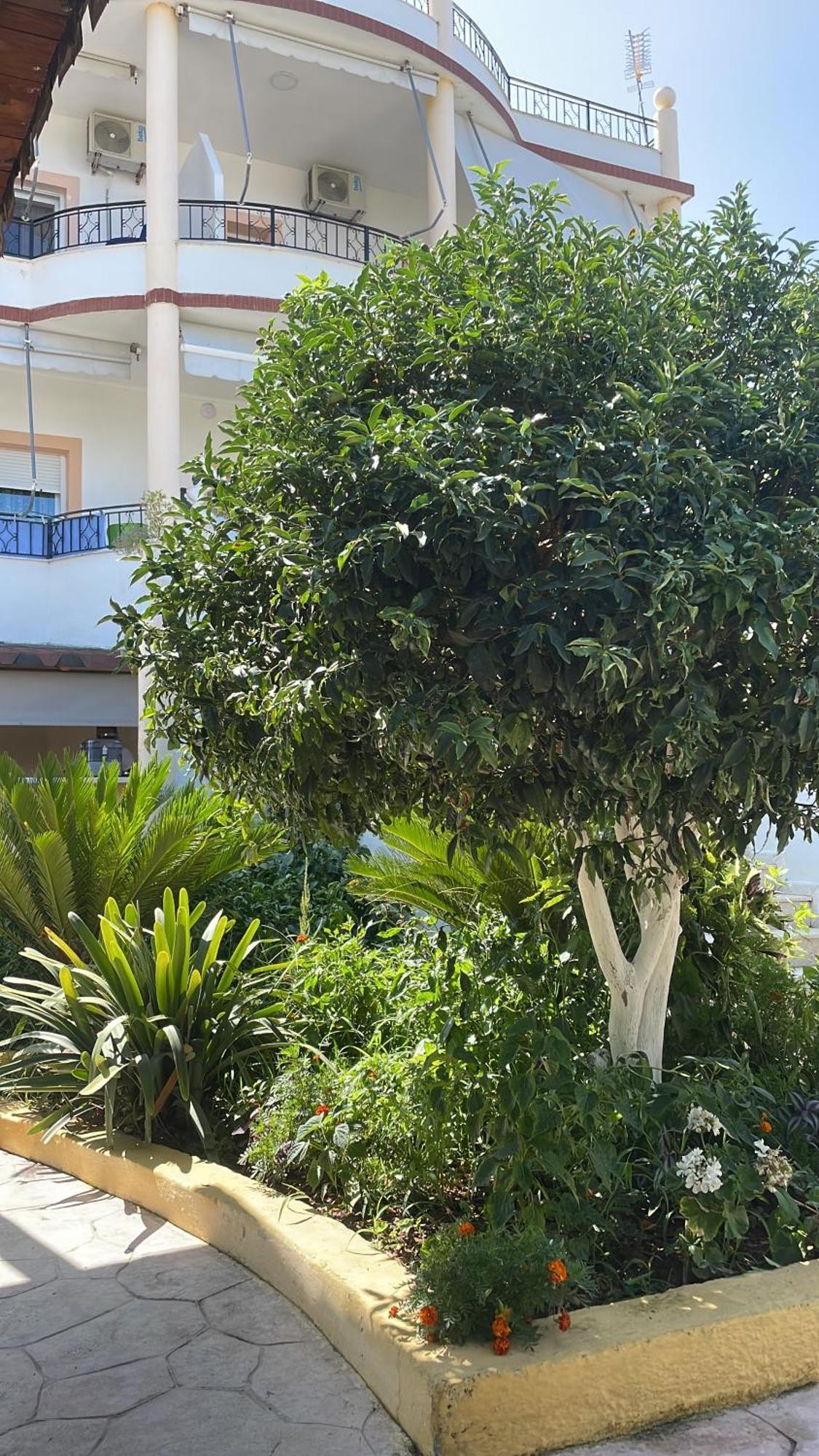Apartments Rudi โอริคูม ภายนอก รูปภาพ